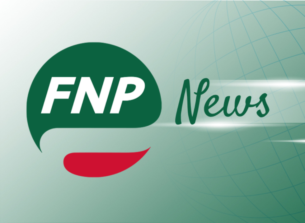 imm_217_news-fnp.jpg